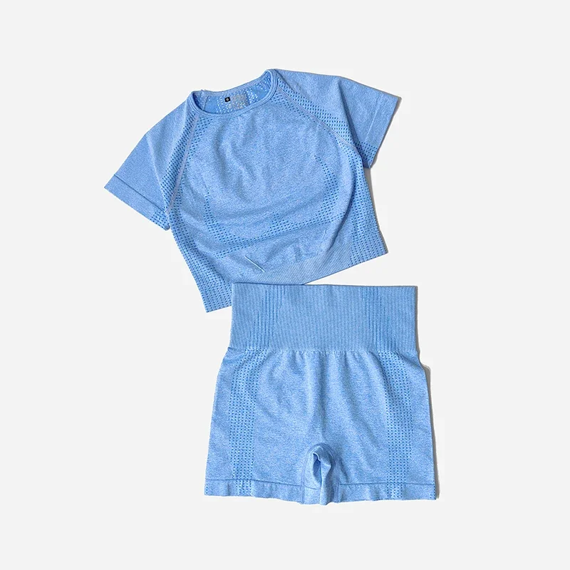 シームレスヨガセット レディース クロップトップ 半袖シャツ フィットネスショーツ ワークアウトウェア 女性用 ジムウェア ヨガ スポーツセット