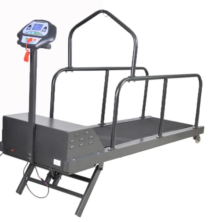 Adjustable Inclined Dog Running Treadmill Durable Dog Training Exercise Equipment
