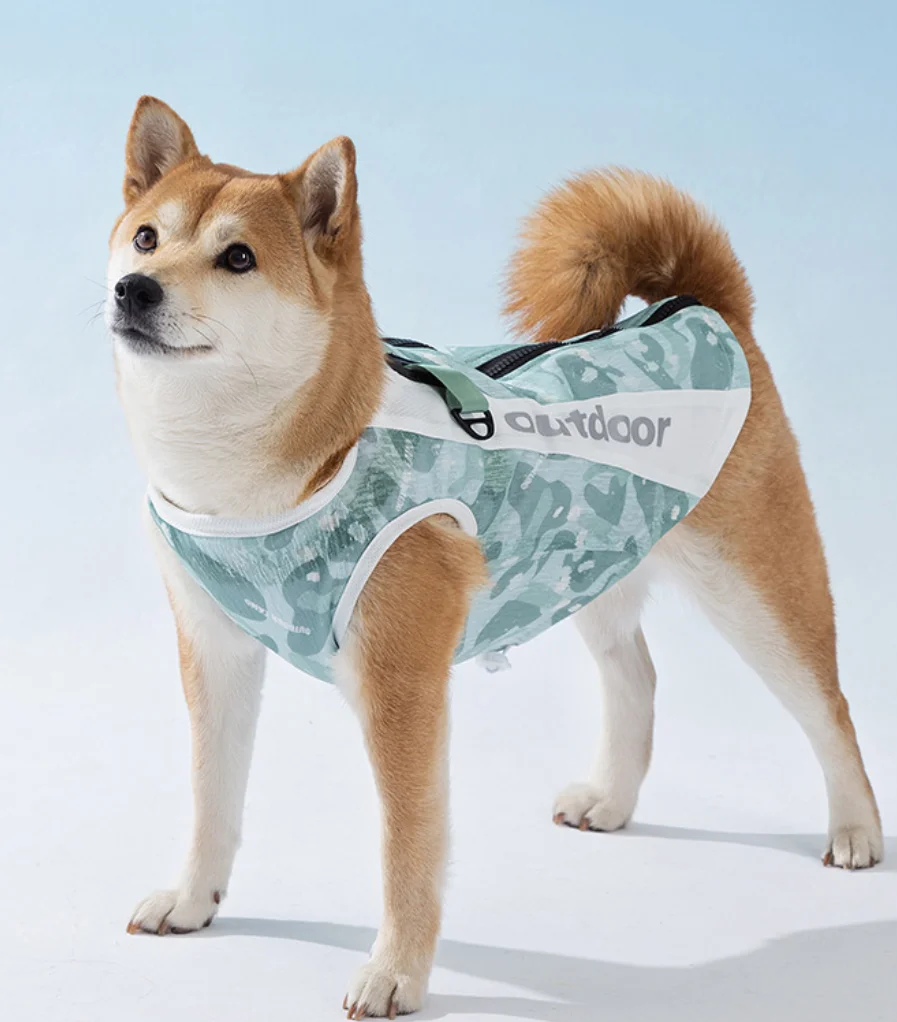 Preventie van zonnesteek voor huisdieren, koeling, tractie van mesh splitsen, stoere kleding, kleine en middelgrote hondenteddy, zomervest, hondenclo