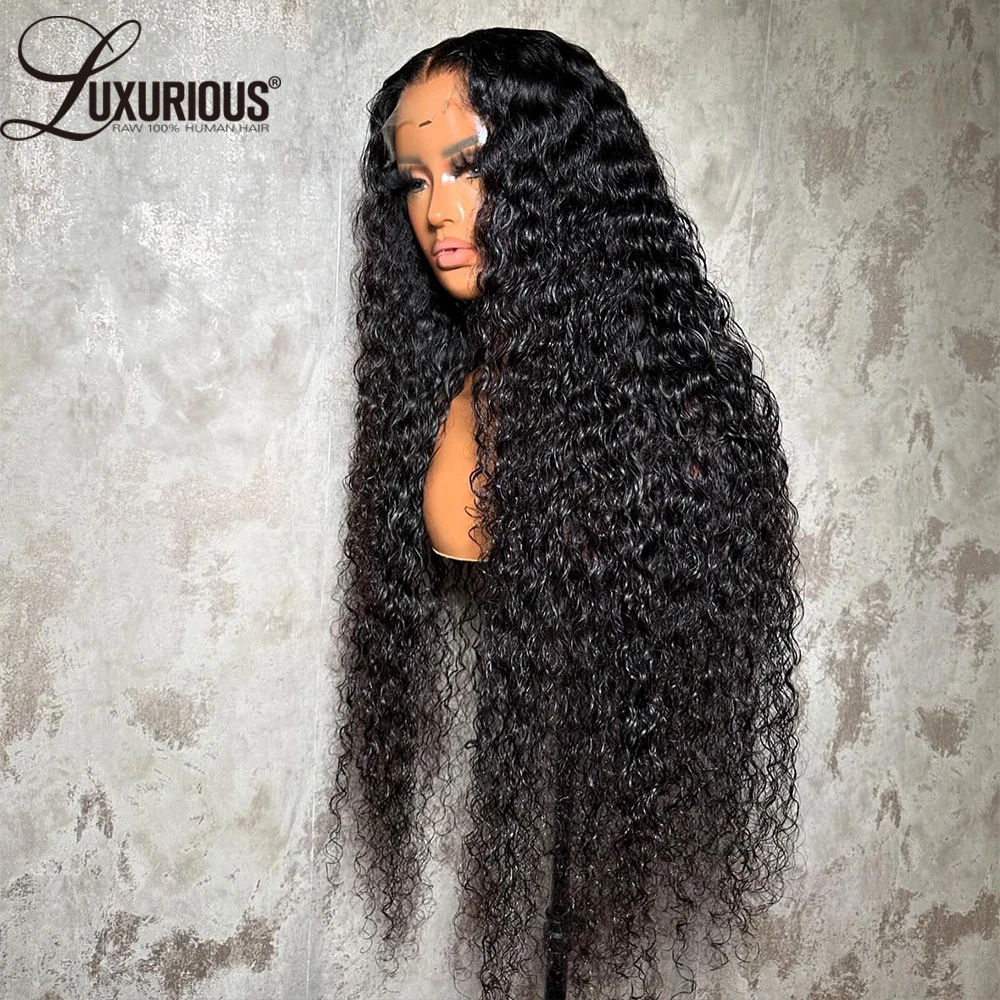 360 Full Lace Curly Wig Brazilian Remy Human Hair Invisible 13x4 Lace Frontal Human Hair Wig Bouncy Curly Wig Human Pre Plucked