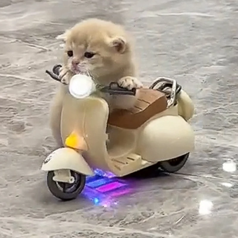 

Mini toys, electric scooters, cats, pets, kittens, hamsters, small motorcycles, decorative decorations