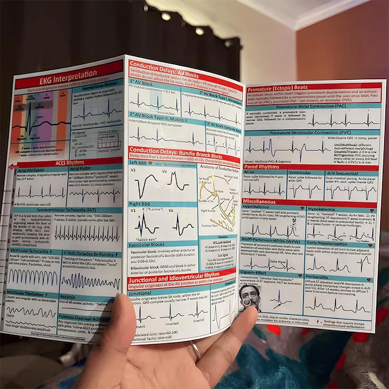 EKG إيقاع دليل الجيب خريطة جيب مخطط كهربية القلب الذاتي قياس البيض موصلات قياس الدقة أداة منزلية #2