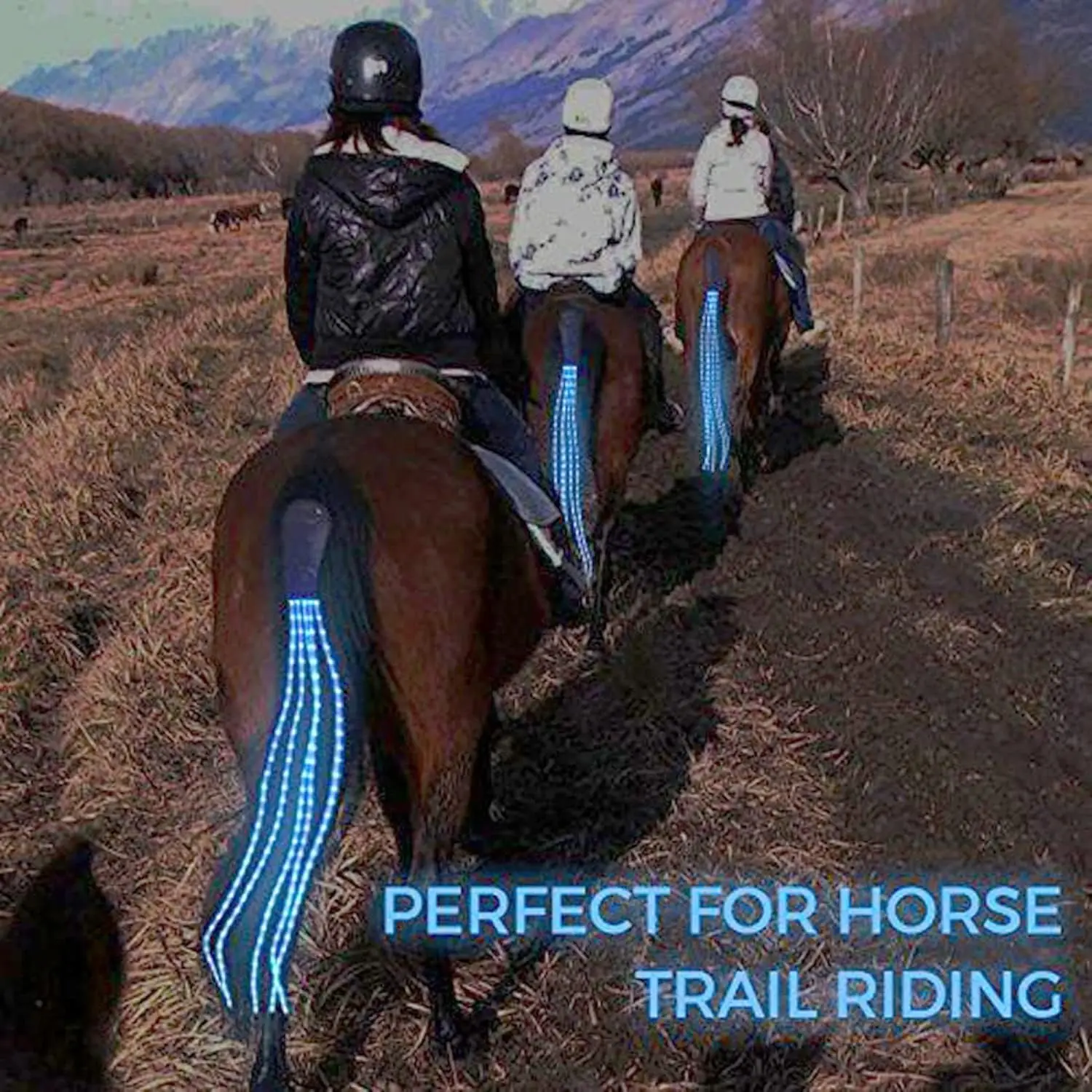 معدات الحصان ركوب الذيل Trappings الفروسية LED ضوء وماض بار تسخير الرياضة في الهواء الطلق USB تهمة ركوب الخيل الزينة #6