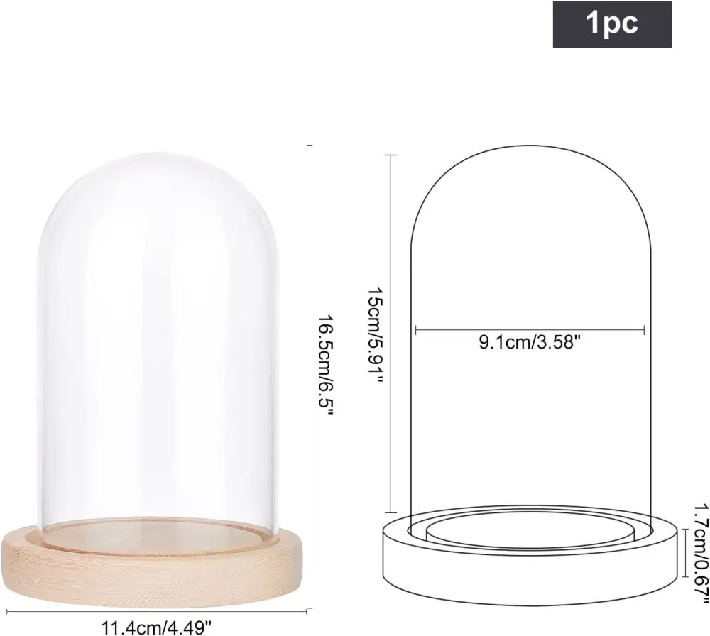 Helder glazen koepeldisplay Balvormige vitrine van helder glas met tarwehouten basis Decoratieve displaykoepelkoffer voor planten