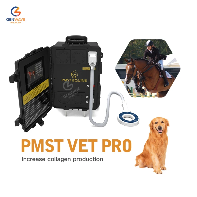 

PMST Vet Высокочастотная магнитотерапия Лечение лошадей и лошадей Терапия EMTT и PEMF