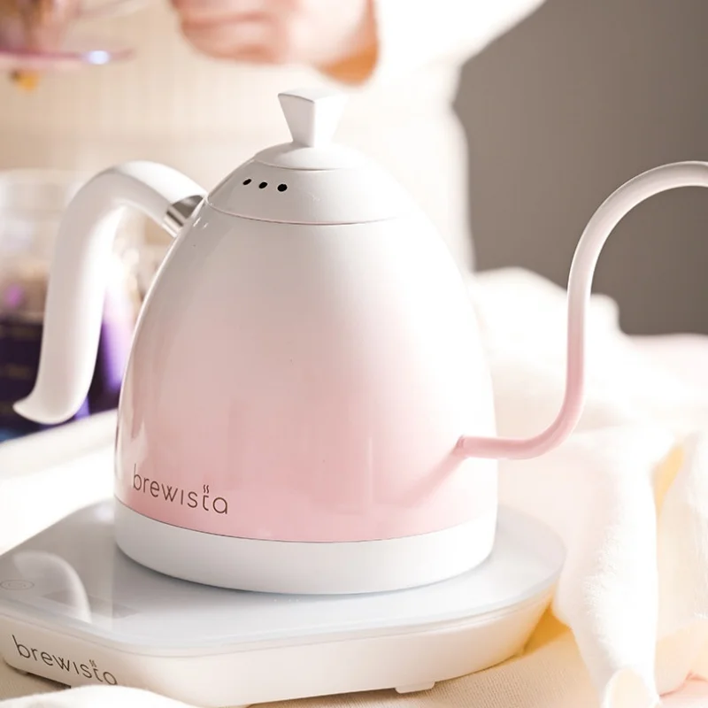 Brewista Pro Smart Temperature Control Gooseneck Kettle 600ml Stainless Steel Electric Water Pot For Hand Drip Coffee Home Use