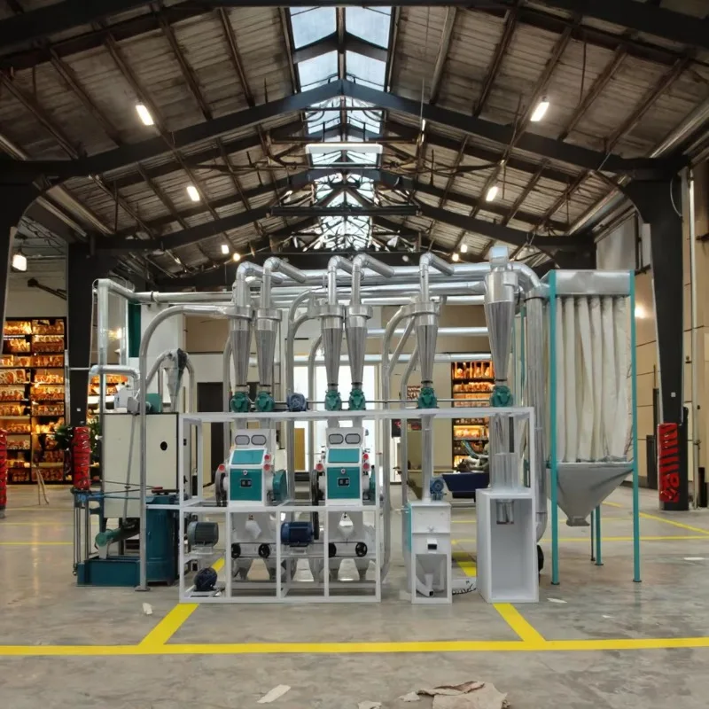 100 Tons Fashion Factory Directly Sell Commercial Maize Corn Flour Grits Milling Plant Machine customized