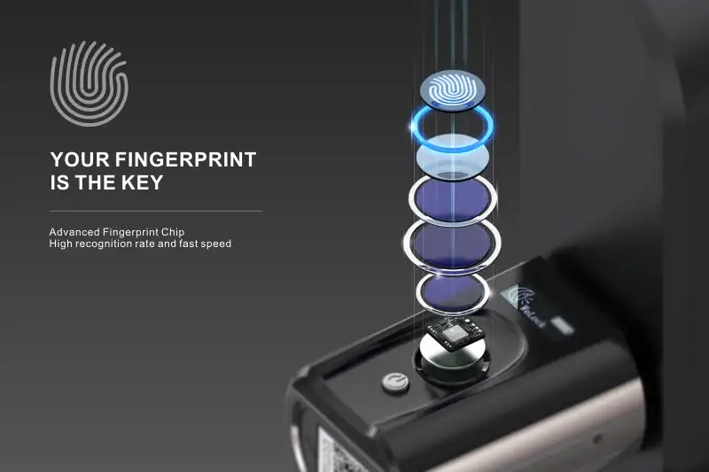 Sicurezza esterna impermeabile Impronta digitale biometrica Smart Lock Card Key Door Lock Controllo accessi app per smartphone Tuya