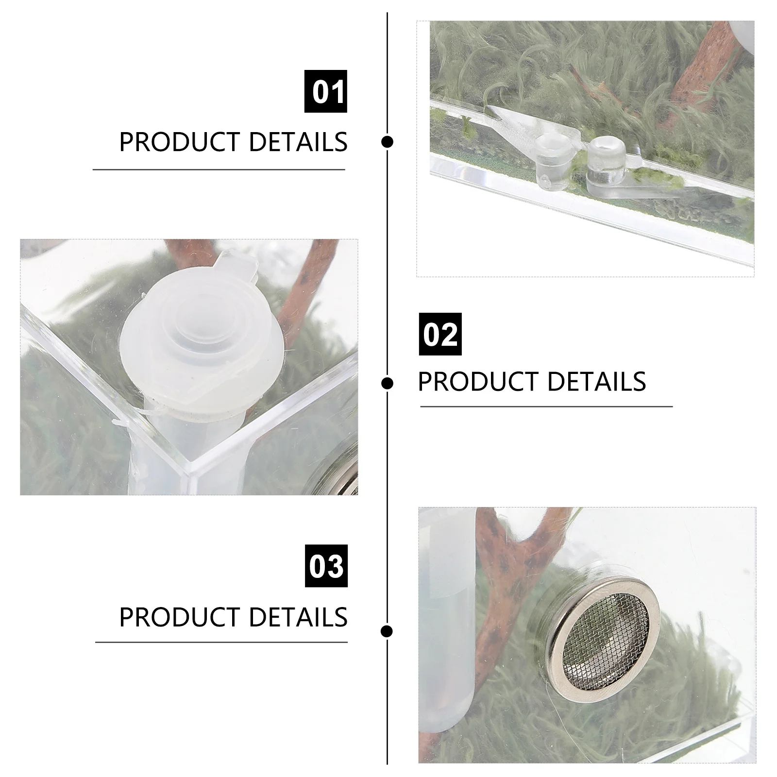 

M Size Jumping Spider Feeding Box Clear Bright Easy Clean Observe Safe Material Prevent Loss Spider Habitat Box