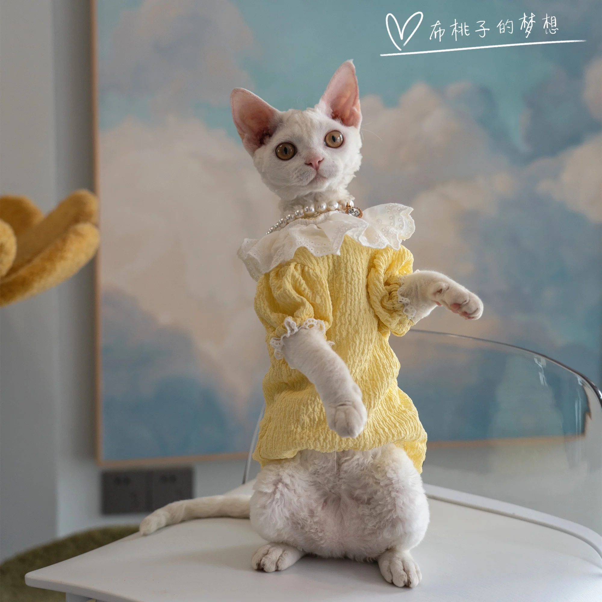 Yellow Sphynx Cat Clothes Cotton T-shirt Fashion Cartoon Undercoat For Devon Rex Soft Coat for Kittens Devon Rex Soft Cat Things