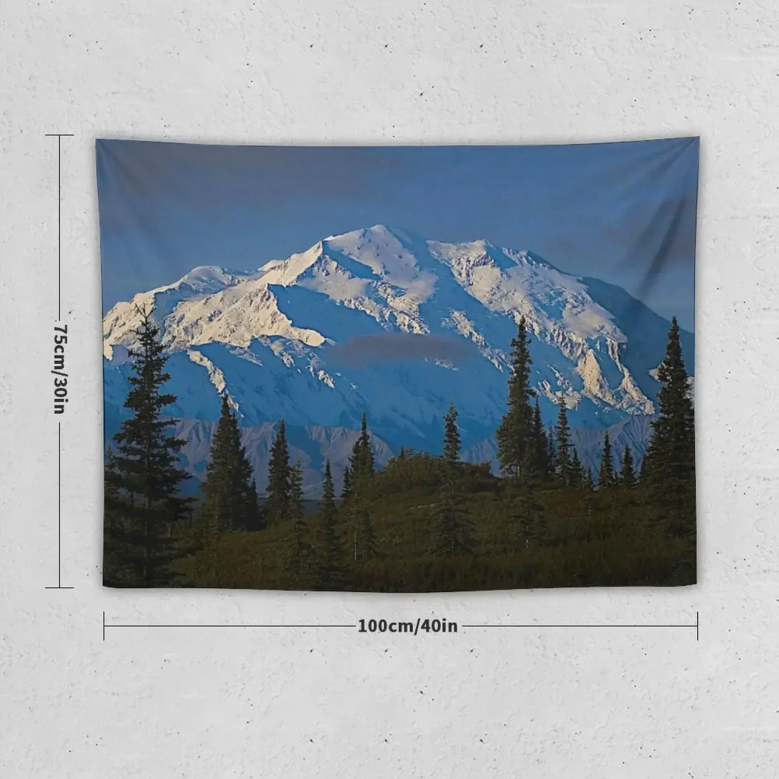 Denali National Park Preserve Tapestry Wall Tapestries Room Decoration Accessories Room Aesthetic Bedrooms Decor Tapestry