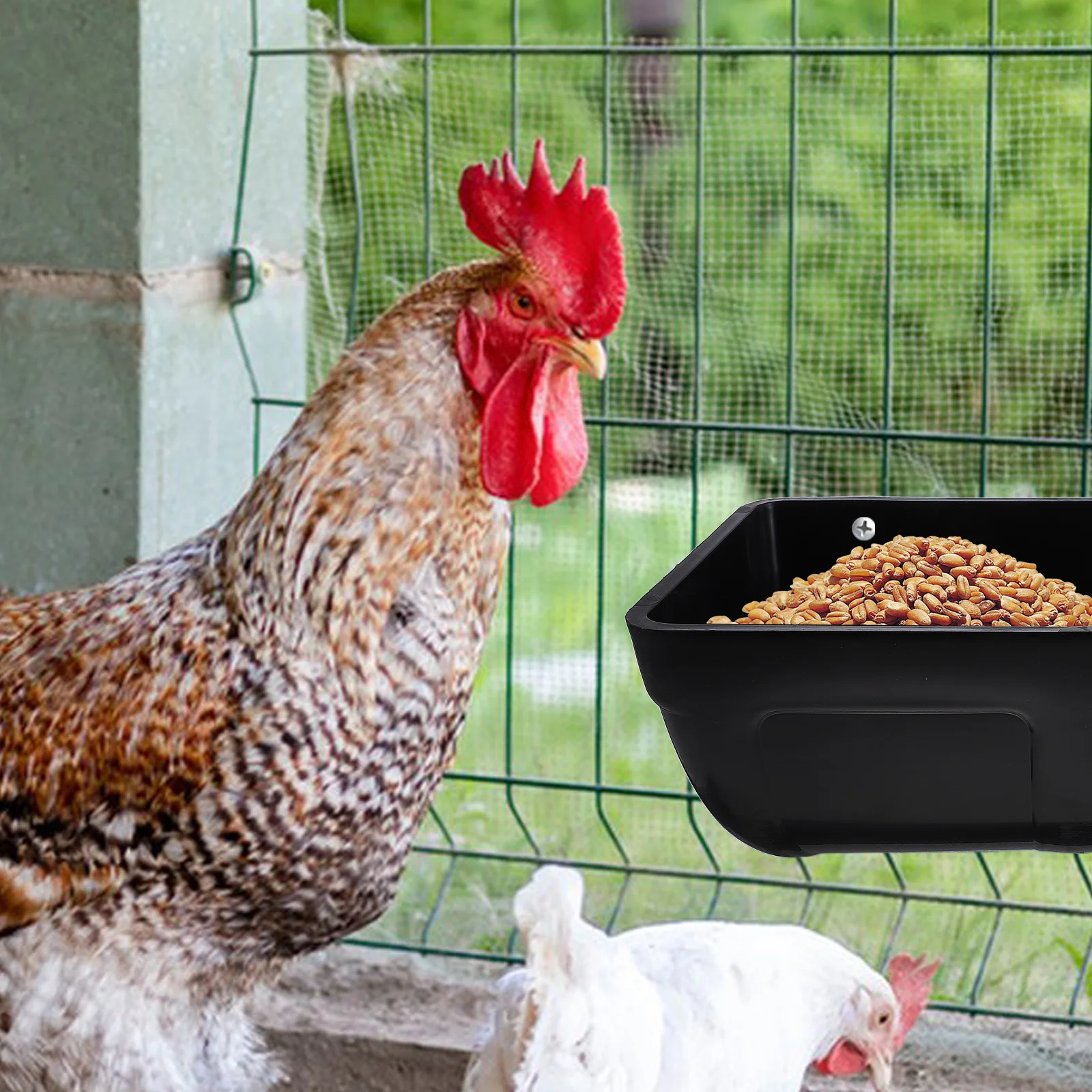 

Hanging Chicken Feeder Large Capacity Waterproof Easy Clean Poultry Goat Feeders Vegetable Treat Holder Baby livestock water