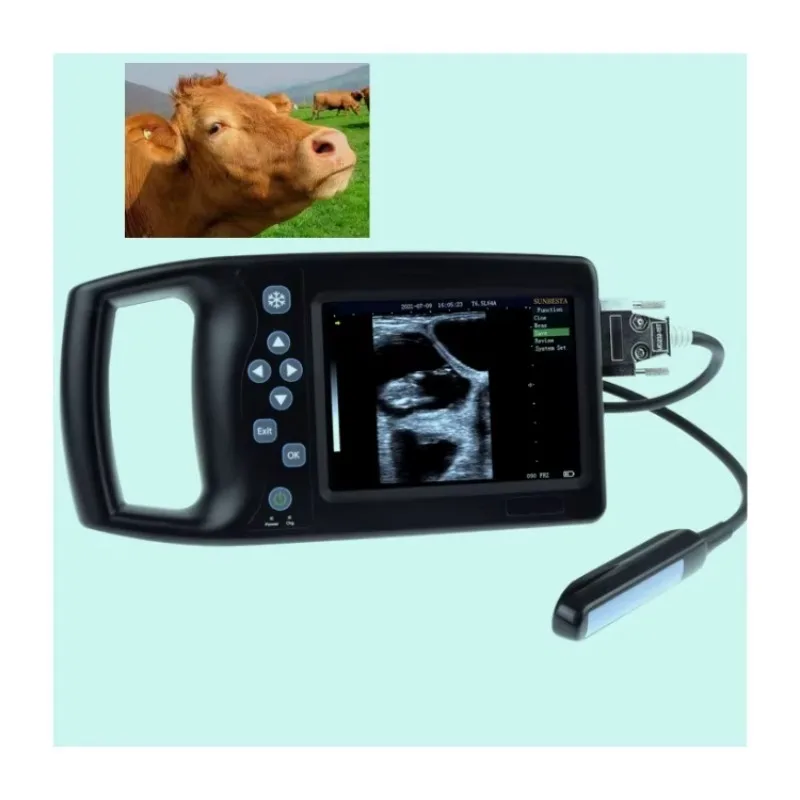 

Ultrasound Veterinary Ultrasonic Diagnosis Instrument for Farm Animal