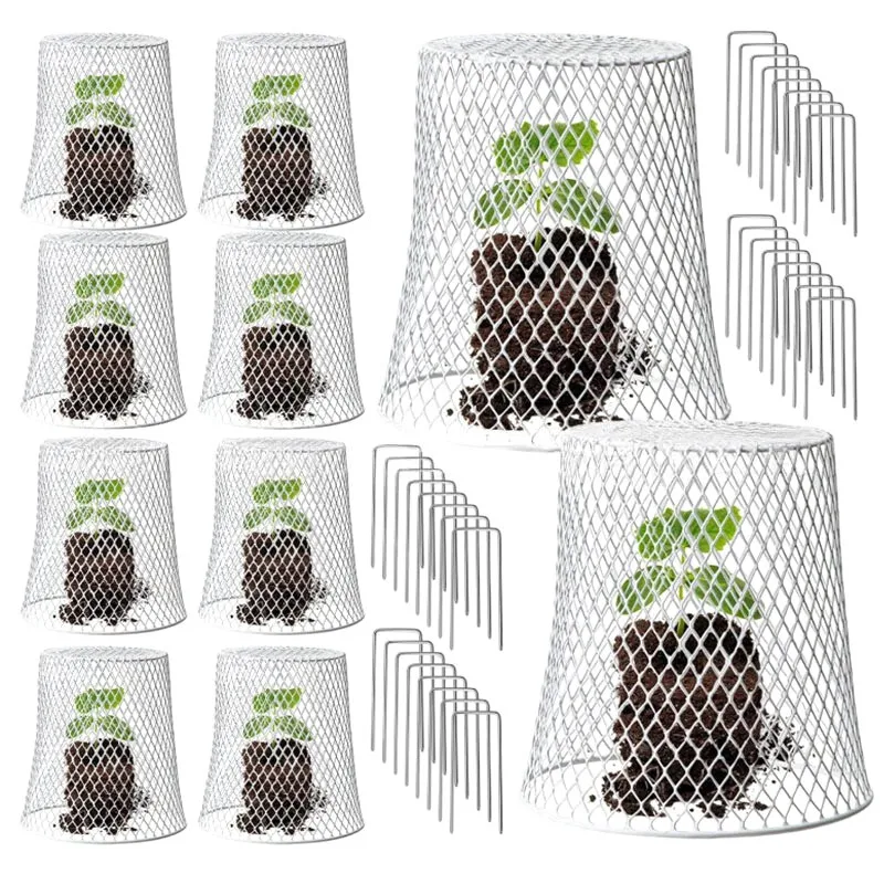 BHTS-Iron Garden Plant Protector-10Pcs Vegetable& Fruit Safety Cage For Nurseries And Greenhouses