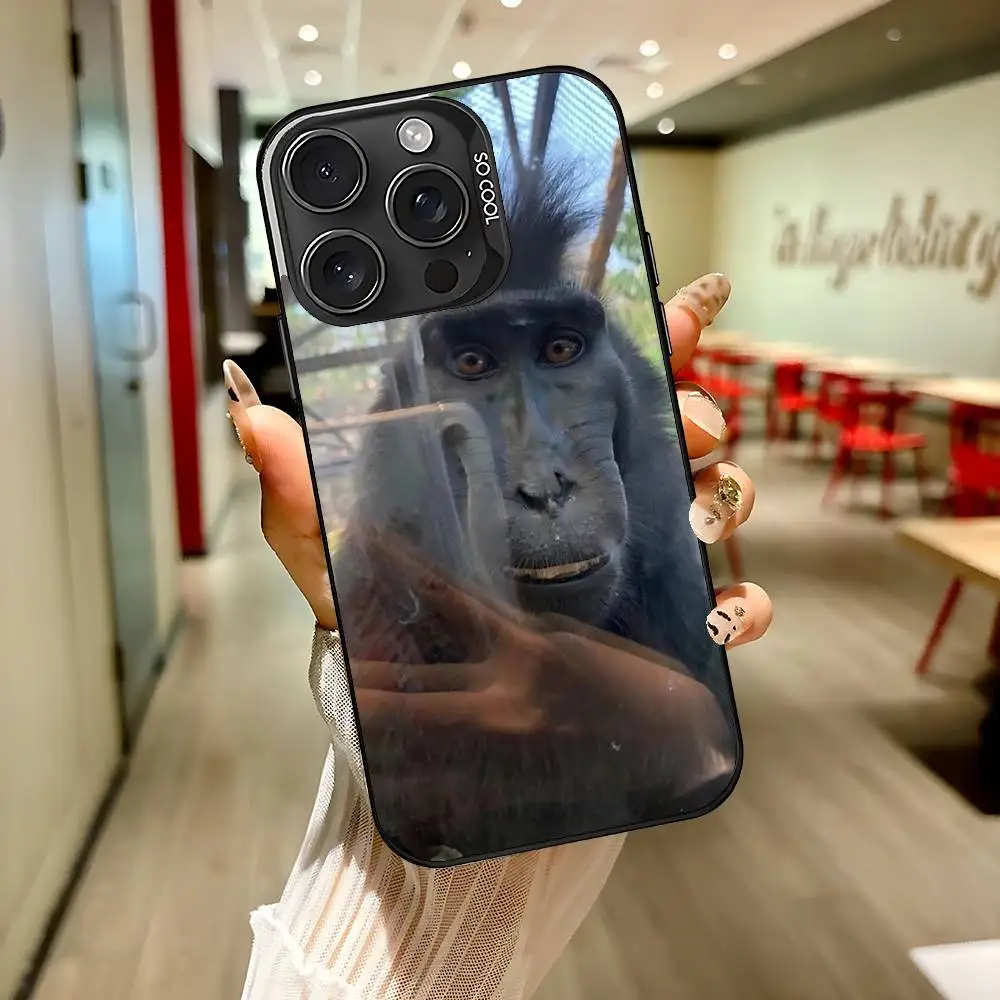 C-Cute F-Funny Monkeys Phone Case For IPhone 17 16 15 11 12 13 14 Pro Max 16 Plus 12 Mini 7 8 XR XS 15Pro MAX Cove