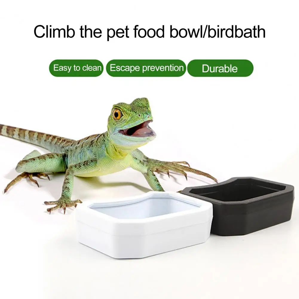 Water Bowl Pet Food Water Feeder Set Plastic Resin Rock Bowls for Terrariums Aquarium Ornament Dish Plate for Plastic Pet Water