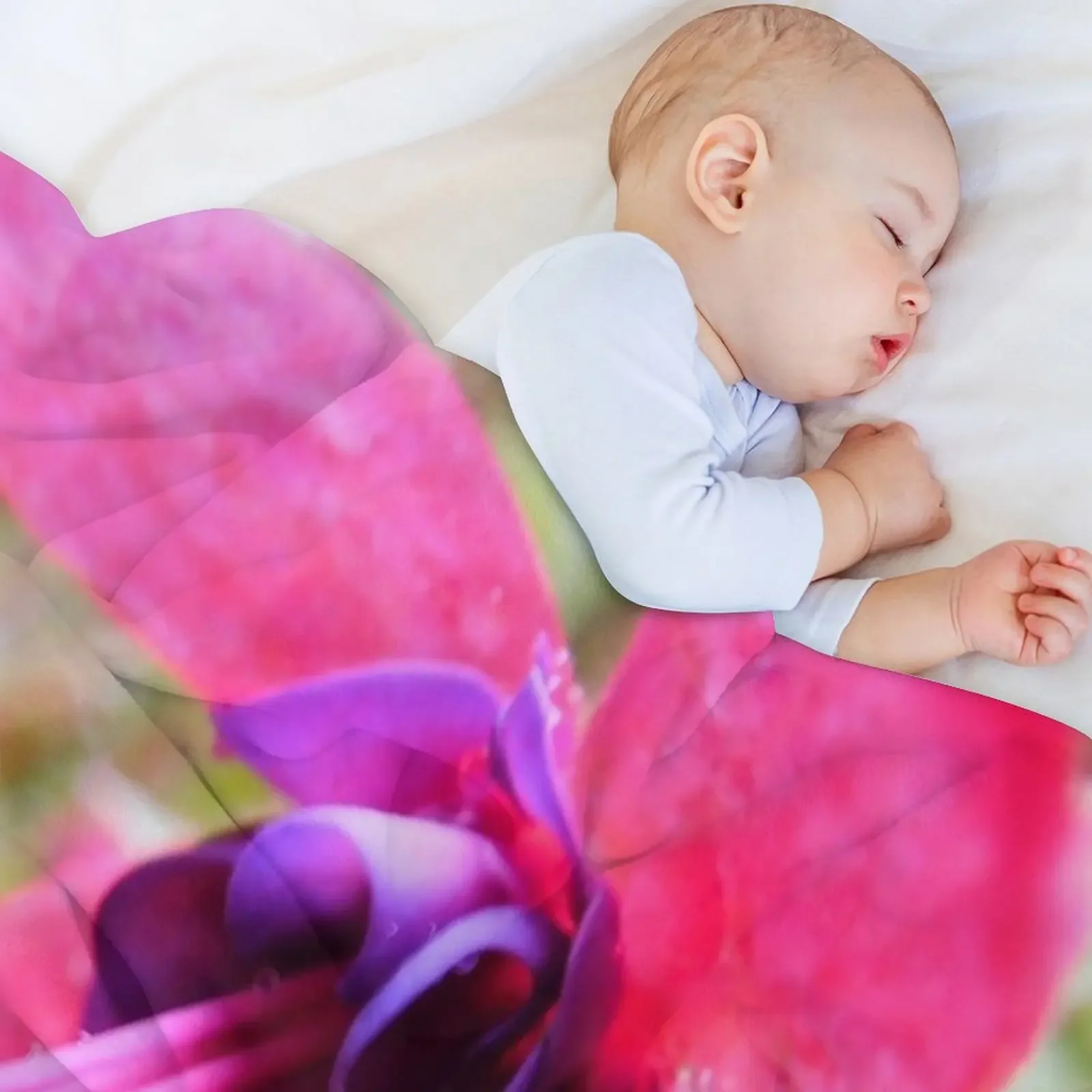 Fuschia Flower w/ Water Droplets 240 Throw Blanket Soft Beds Bed Fashionable christmas decoration Vintage Blankets