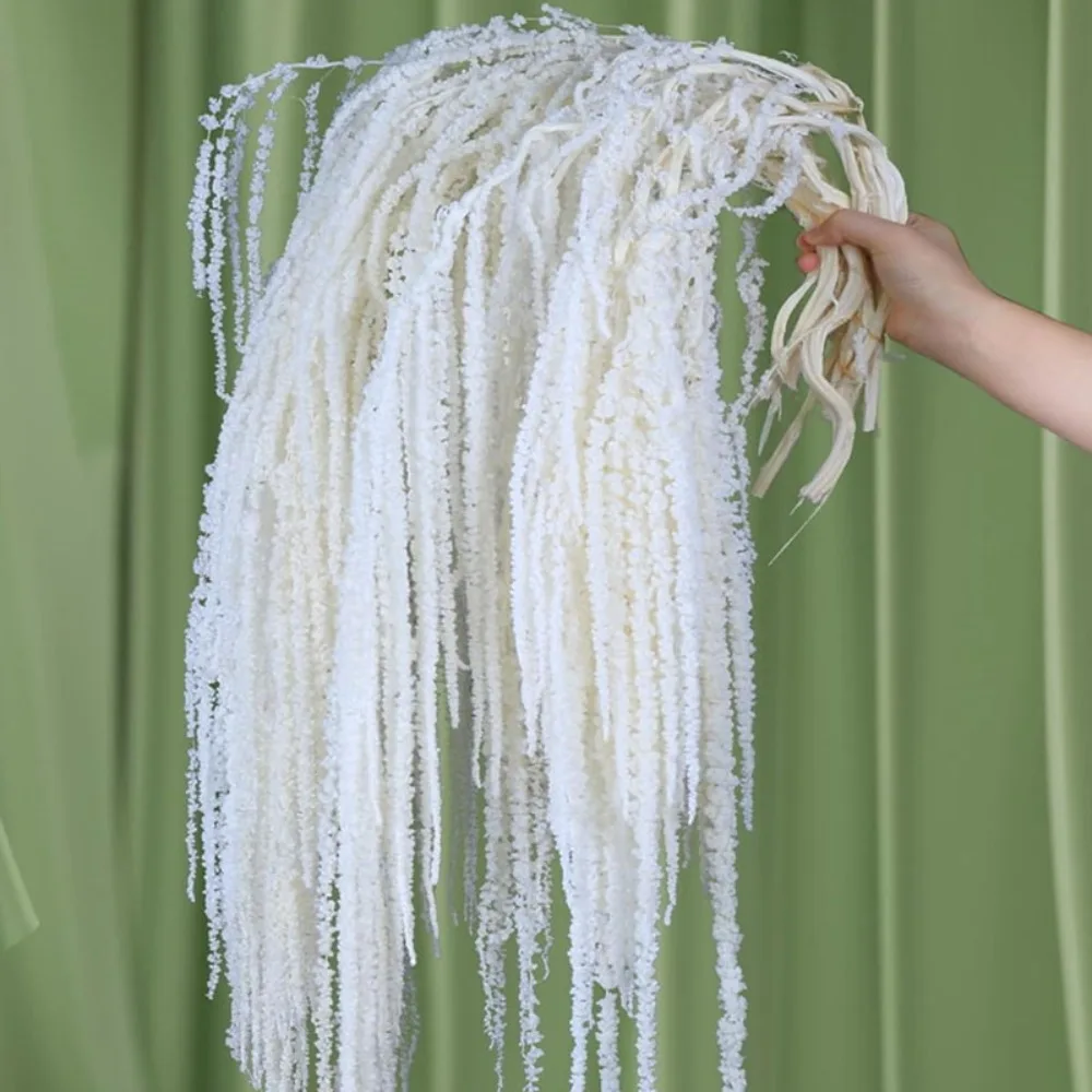 натуральные сушеные подвесные цветы глицинии