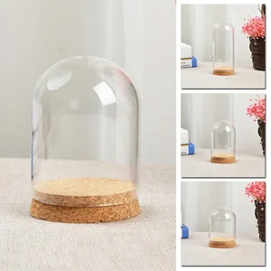 Transparent glass cover for hemisphere, flower glass dome, juicy plants, wooden vase, table decoration, dried flowers decoration 8 MAIN SALES GLASS CUPULA - №8