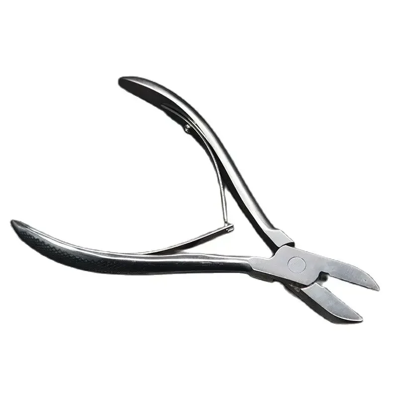 Large Animal With S…