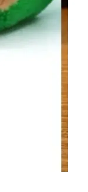 10 ซม.น่ารัก Avocado Capybara ของเล่นตุ๊กตา Capybara ตุ๊กตา Key CHAIN Plushie Capibala จี้วันหยุดของขวัญ Kawaii ตุ๊กตาผลไม้