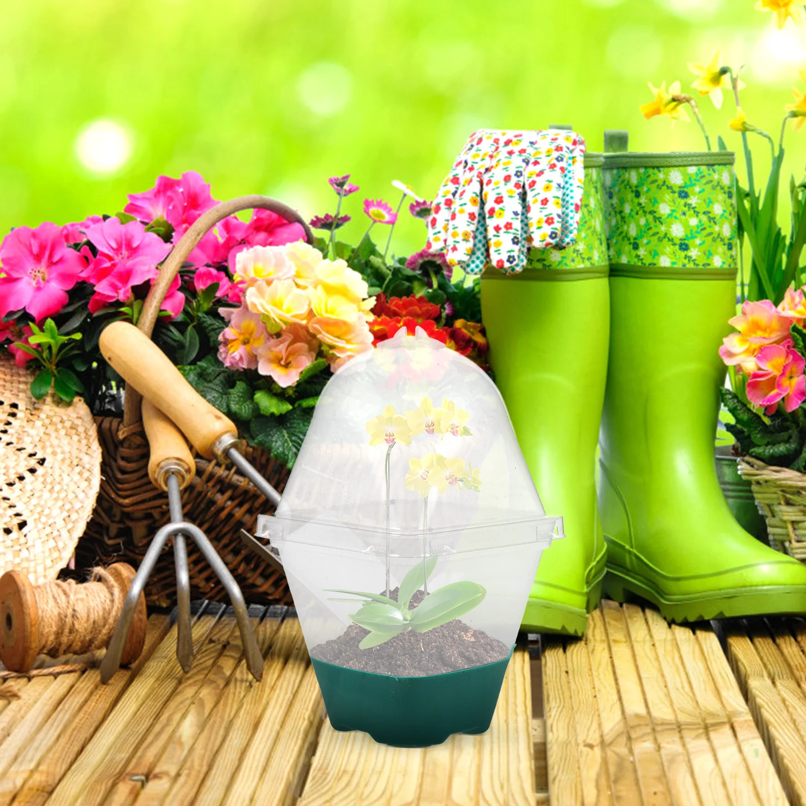 

Clear Plastic Nursery Lidded Starter Planter Small Succulent Flower Pot Stackable Garden Supplies Reusable Pot With Drainage For
