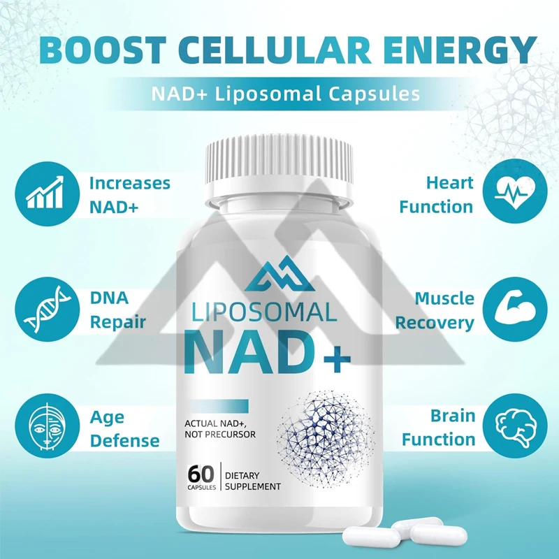 อาหารเสริม NAD+แคปซูล: Super Liposomal Resveratrol ช่วยเพิ่มความอดทนของสุขภาพเซลล์ รองรับริ้วรอยที่ดีต่อสุขภาพ 1500 มก. 60 แคปซูล