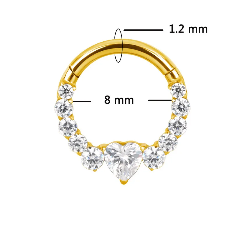 ASTM F136 Titanium EAR PIERC Fan-shaped and side CZ Ring Hoop Nose Rings Hinged Clicker Earring Labret Tragus Ring Body Piercing