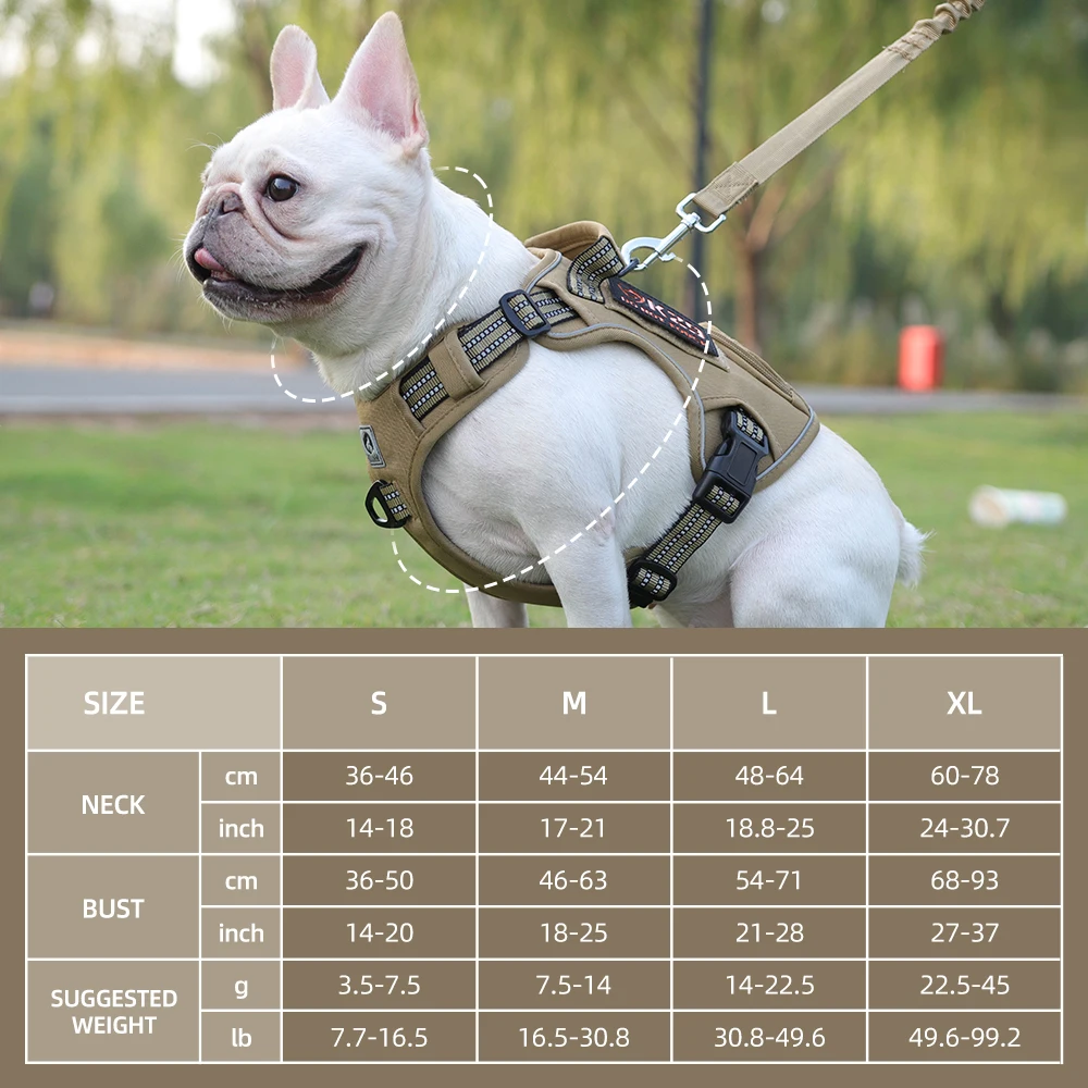Thumbnail 2 - #40 Puppy Training Collars Comparison Guide