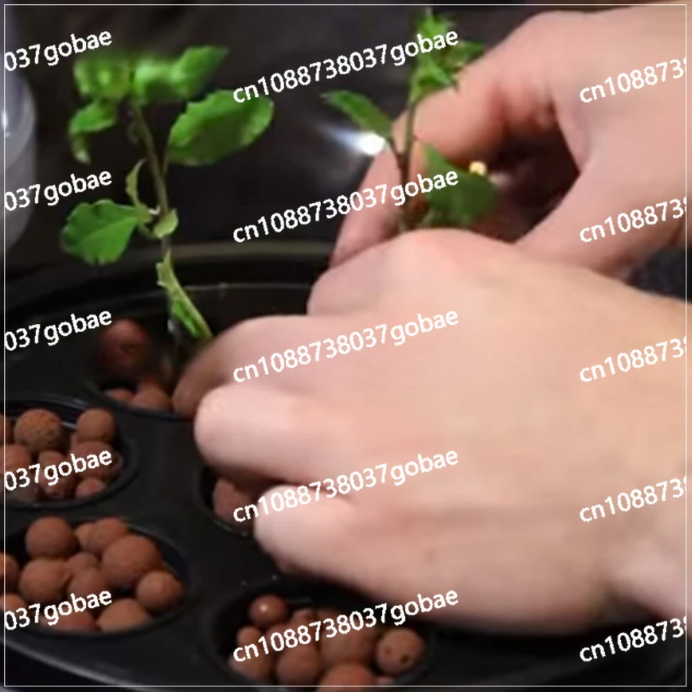 8-Hole 5L drum atomization seedling box, balcony vegetable planting hydroponic box equipment, soilless cultivation planting box
