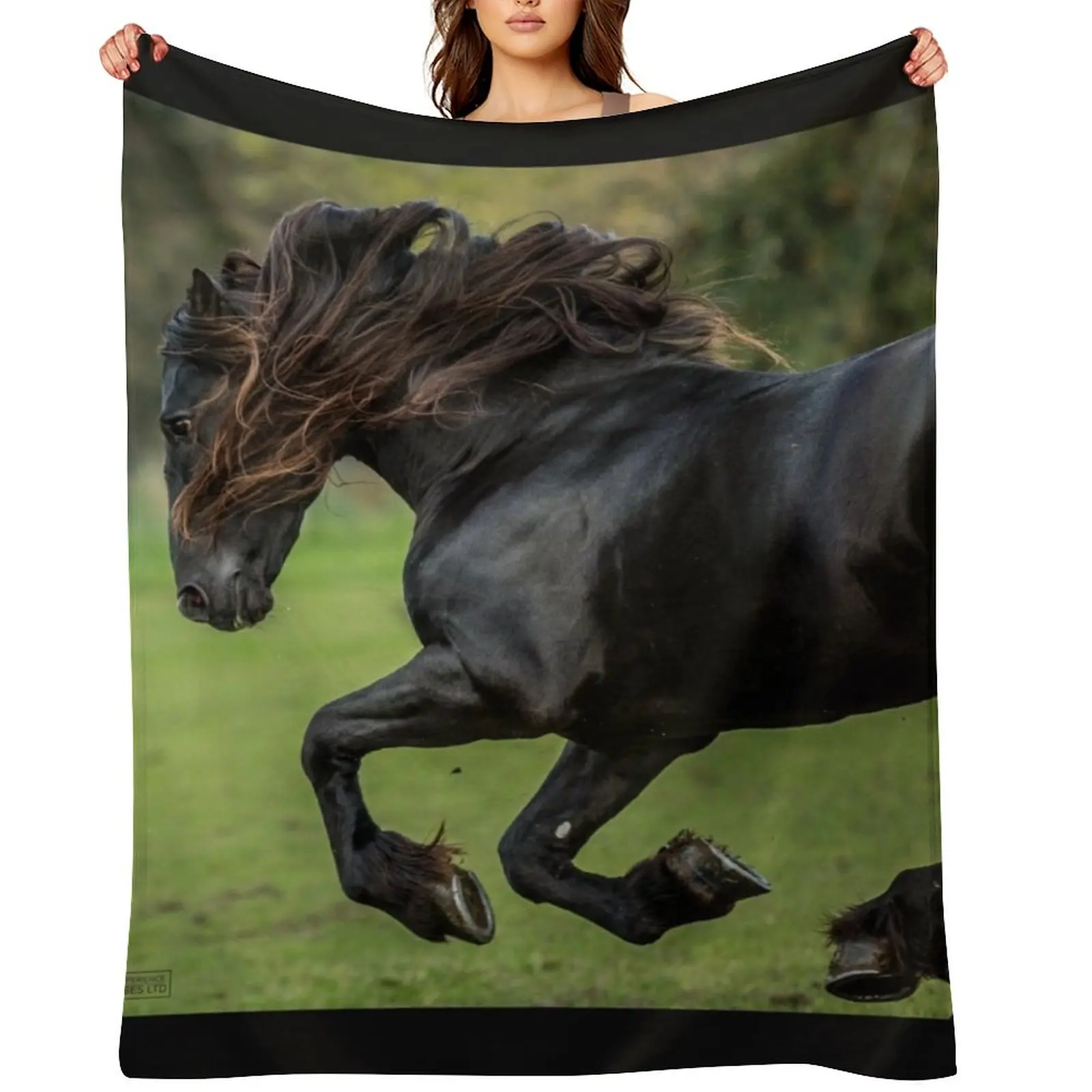 The Friesian Experience - Beautiful Black Beauty Friesian Horses Throw Blanket Personalized Gift Polar Bed Travel Blankets