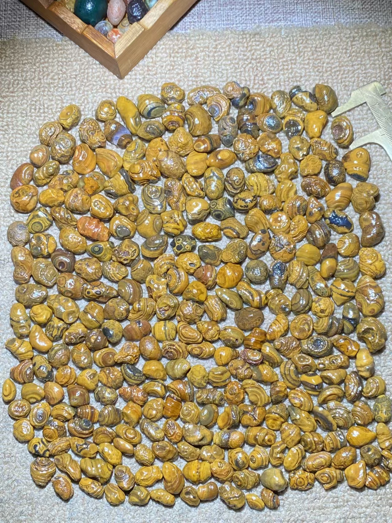 277pcs/lot boutique natural three-dimensional relief surface coin eye stone loose beads wholesale Gobi agate grain Pretty rare