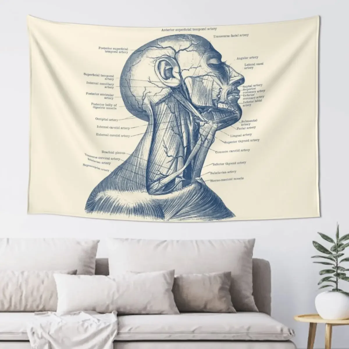 

Human Venous and Circulatory Systems - Neck Tapestry Decoration Wall Japanese Room Decor Decoration Aesthetic Tapestry