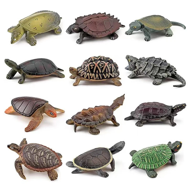 Figurines d\'animaux réalistes pour enfants, tortue d\'Auckland, jouets pour enfants, modèles miniatures d\'aquarium, modèles d\'océan, cadeau d\'ornement