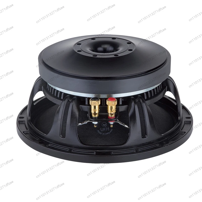 

10-Inch Active Speaker with 8 Ohm Impedance for Outdoor Use on Stage