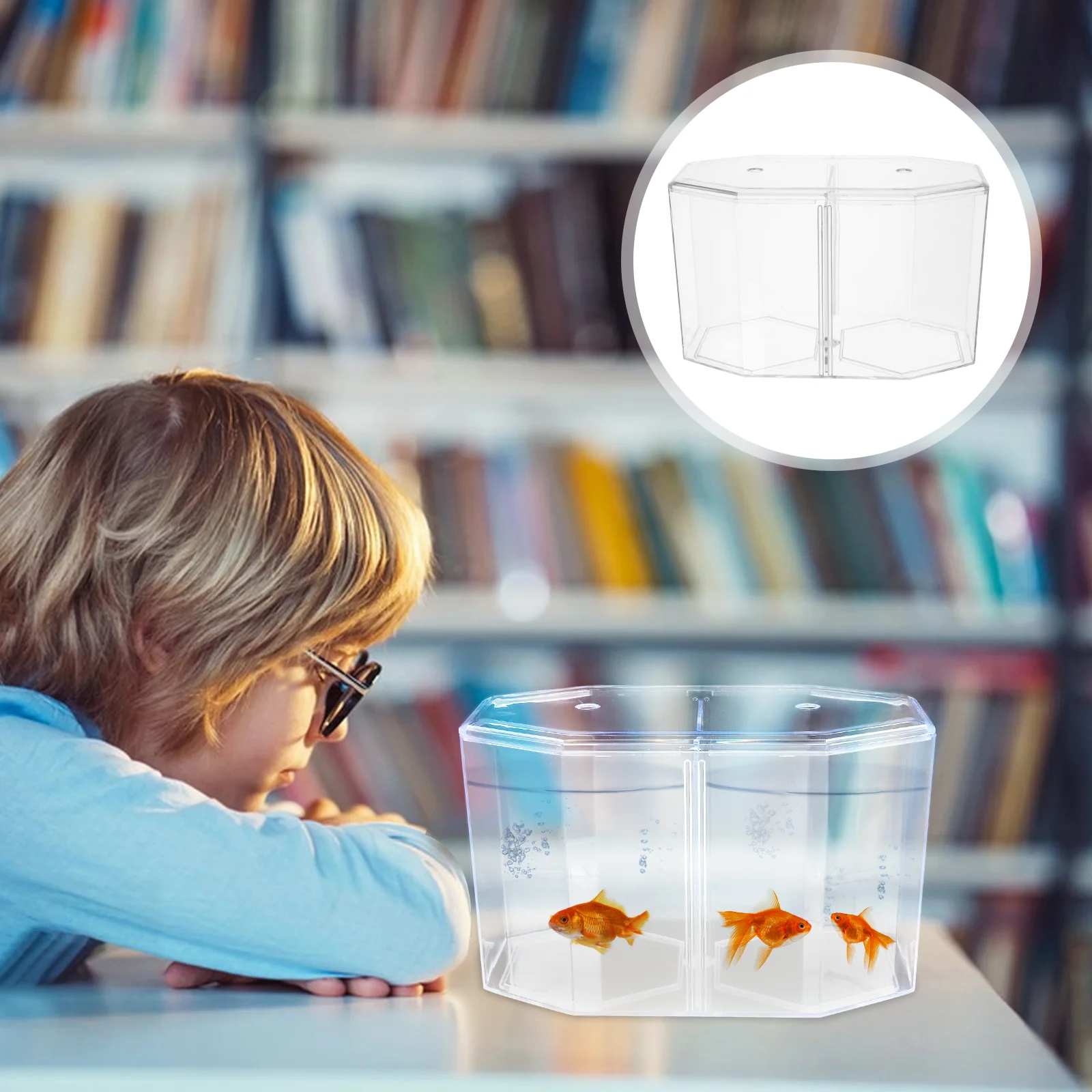 Octagonal Fish Tank Hatching Box Incubation Clear Breeding Household Octopus Brine Shrimp Container Acrylic