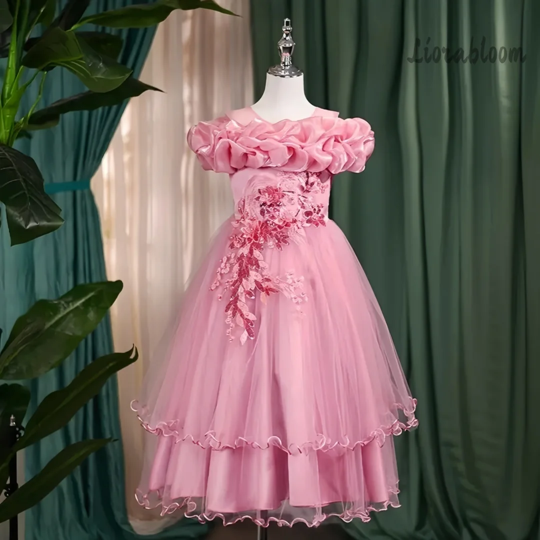 

Girls' Dress With 3D Floral Embellishments Colorful Dress Flower Girl Dress Party Dress Princess Dress Elegant Girls' Dress