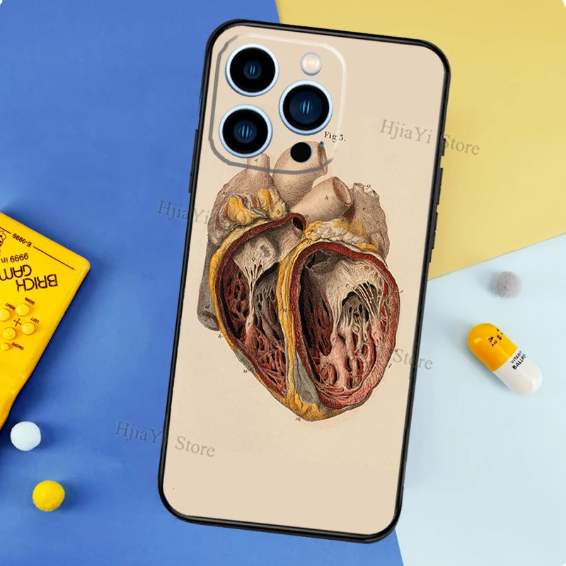 Human Anatomy Case For iPhone 13 Pro Max 12 Mini 11 14 15 16 XS MAX XR Plus Silicone Phone Cover