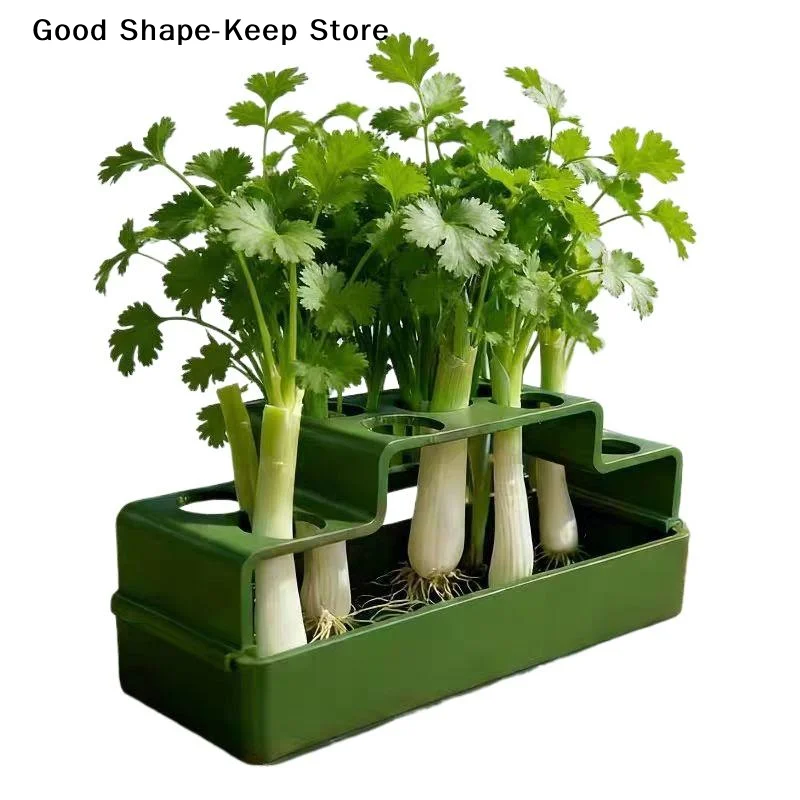 dailyGreen Onion Reusable Hydroponic Planting Device Eco-Friendly Regrowth System for Home Balcony Windowsill Vegetable Growing
