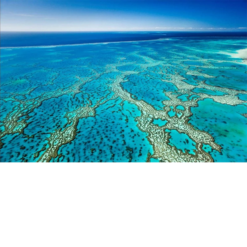 

Foldable Front Windshield Sun Shade For Jaguar XJ UV Reflective Sun Protection Cover Car Interior Accessories