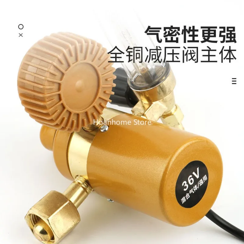 Carbon Dioxide Pressure Reducer Electric Heating Type Carbon Dioxide Reducing Valve 36 V220v Dioxygen Meter