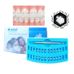 Dental Orthodontic All-Ceramic Self-Ligating Bracket Clear ROTH MBT 0.022 345 Hooks Damon Clear System Ortho Ceramic Brackets