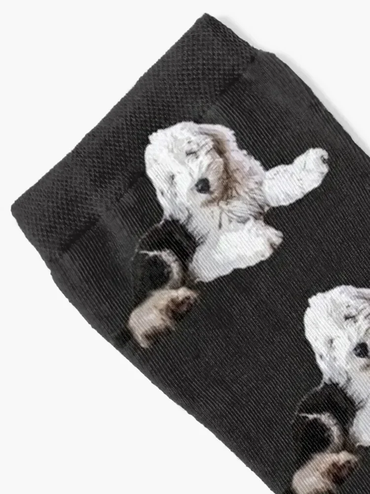 Old English Sheepdog Puppy Dog Socks tennis cotton gift luxe Socks For Men Women's