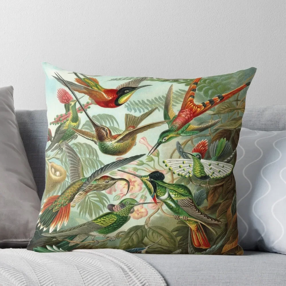 

Hummingbirds Throw Pillow autumn decoration Christmas Pillowcase