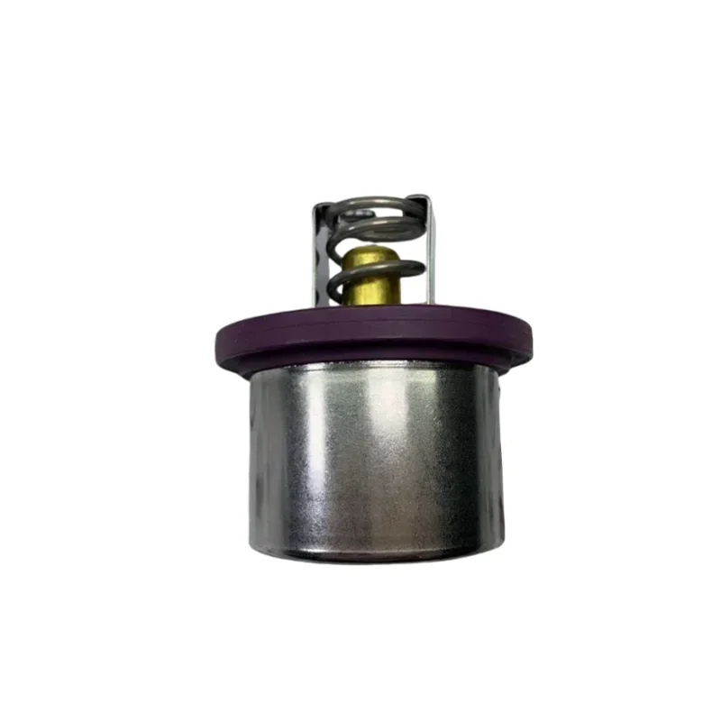 94810612501 Engine Cooling System Coolant Thermostat, Suitable for  9PA 4.8l V8
