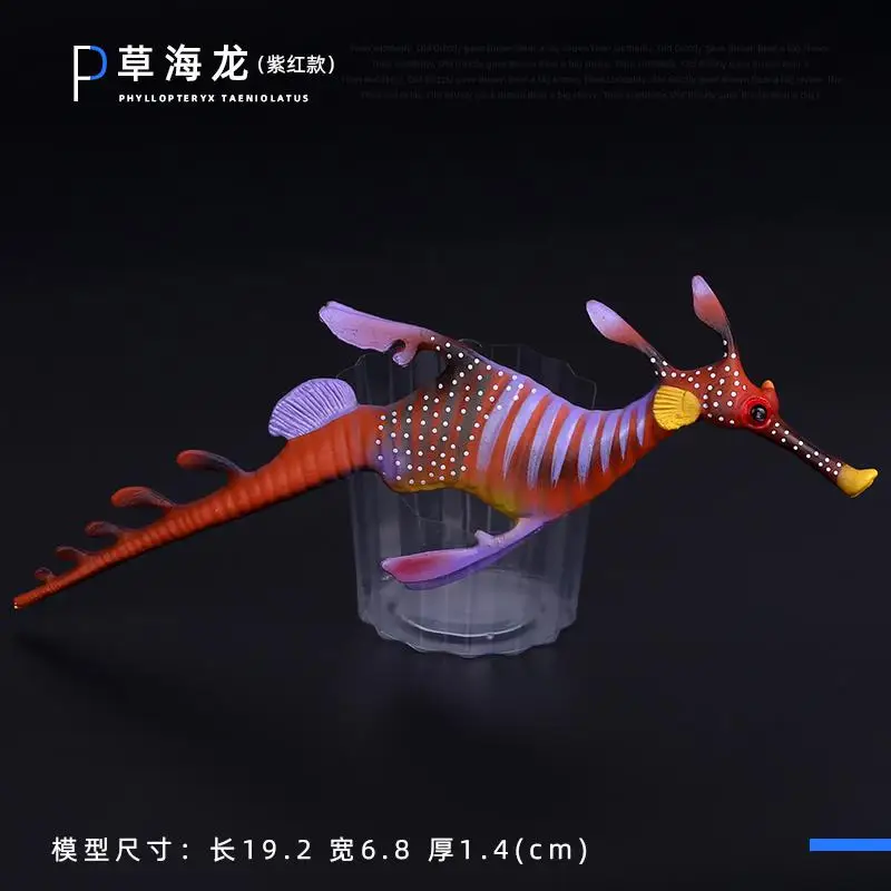 Simulatie Plastic Zeedier Speelgoedfiguren Nautilus, koning Spider Heremietkreeft Zeeleven Dieren Model Collectie Speelgoed