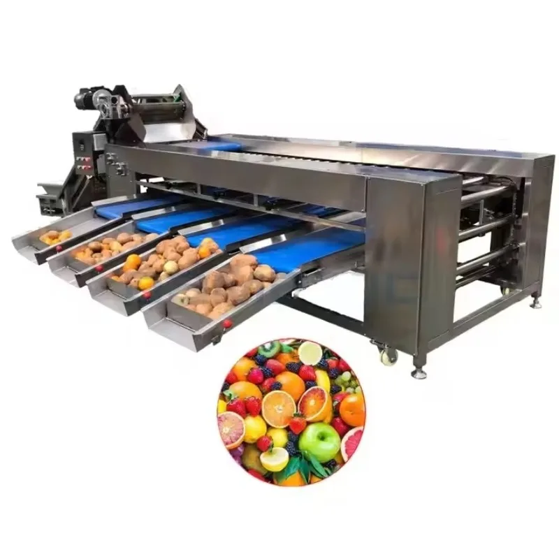 Automatic 304 Stainless Steel Apple Onion Orange Blueberry Potato Avocado Date Fruit Tomato Sorter Grading Machine with Wash OME