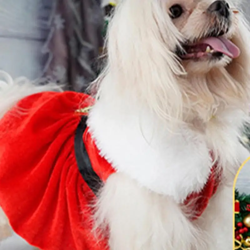 Santa Claus Suit For Dogs Dog Cat Christmas Costume Funny Pet Cosplay Clothes Gold Velvet Fabric Dog Costume Suit Puppy