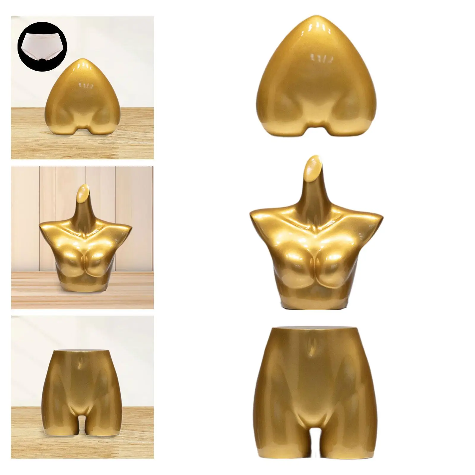 

Female Mannequin Torso Underwear Display Stand for Exhibition Commercial