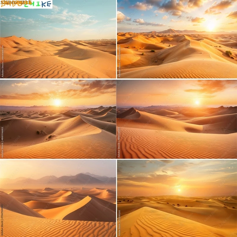 

Scenic Sahara Desert Sunlight Sky Photography Backdrops Morocco Africa Landscape Sunset Sand Dune With Bushes Background DS-03
